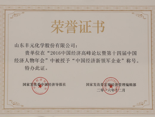 中國(guó)經(jīng)濟(jì)新領(lǐng)軍企業(yè)